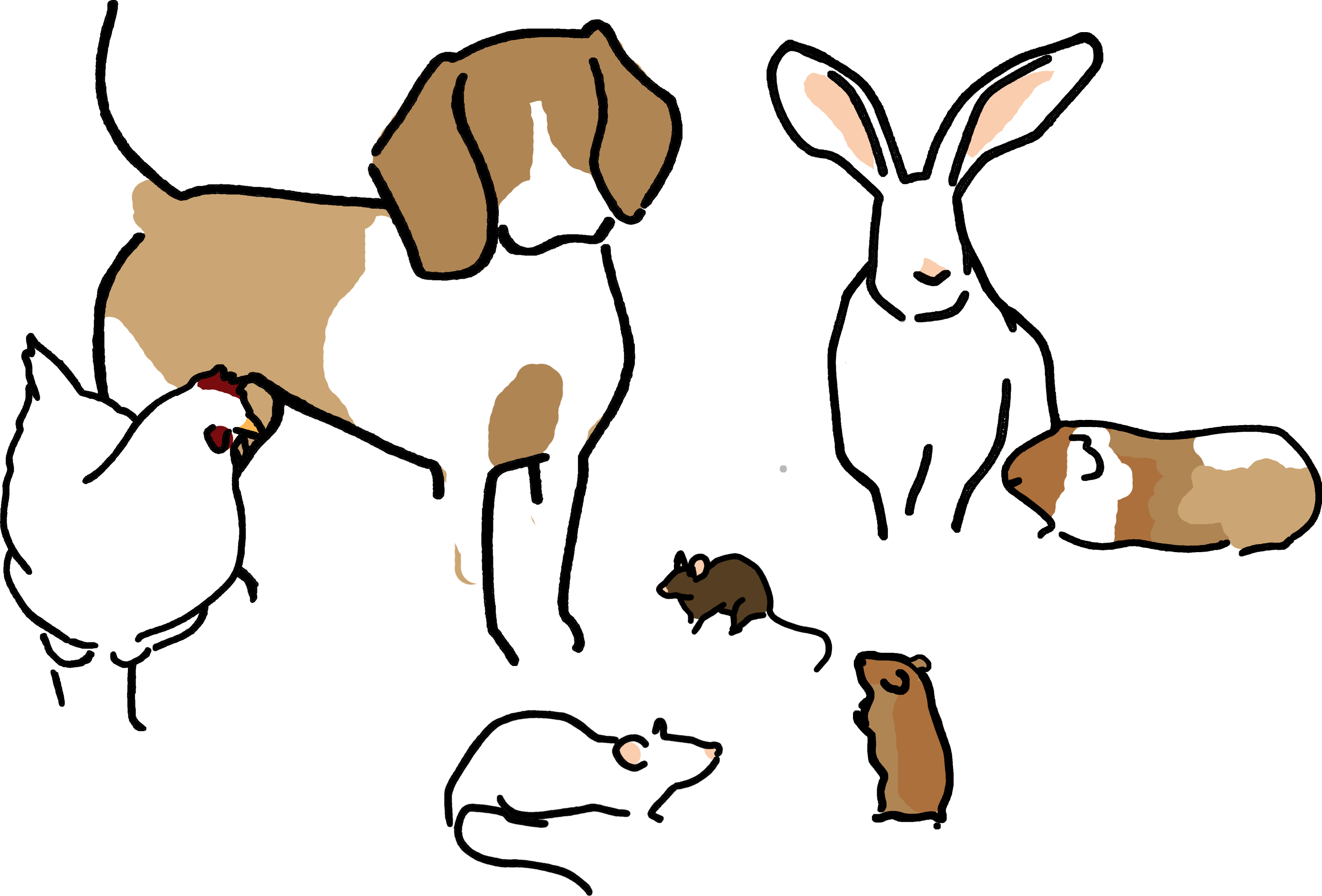 Illustrationen von Labortieren: Hund, Katze, Maus, Ratte, Meerschweinchen und Kaninchen